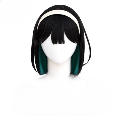 Recommended Accessory