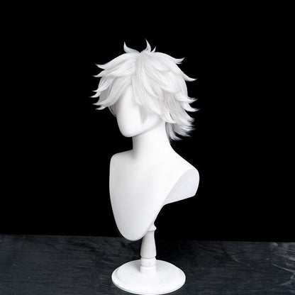Qifrey Master Edition Cosplay Wig - Silver-White Flowing Waves